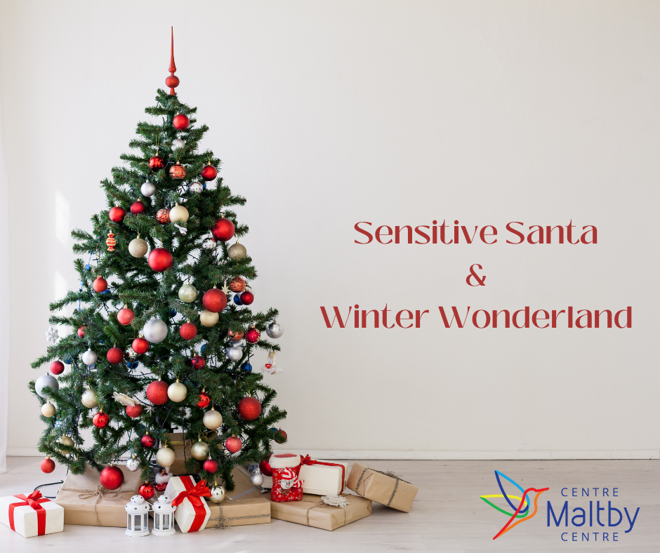Maltby centre - sensitive santa holiday event - all staff event2