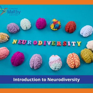 Maltby centre - autism services - introduction to neurodiversity - 2024 ads 16